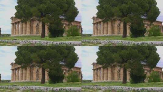 复古神庙前的大树高清在线视频素材下载