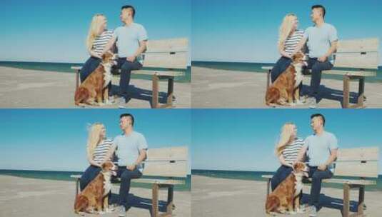 坐在海边椅子上的情侣和狗高清在线视频素材下载