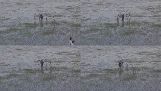 杭州湾海边城市岛屿礁石海浪高清在线视频素材下载