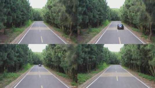 汽车行驶在森林公路旅行自驾游高清在线视频素材下载