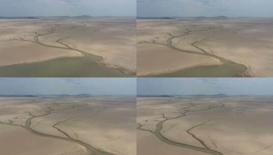 鄱阳湖枯水季抽象的生命之树航拍高清在线视频素材下载