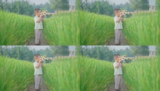 儿童在水稻田-玩耍高清在线视频素材下载