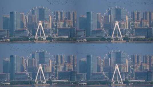 8K深圳欢乐港湾鸬鹚4高清在线视频素材下载
