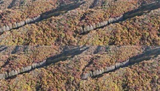 航拍千山秋季森林风光高清在线视频素材下载