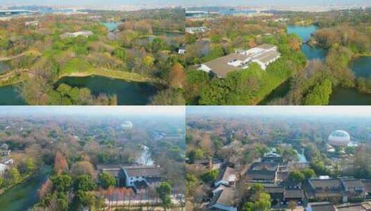 杭州西湖区西溪湿地自然风景视频素材高清在线视频素材下载