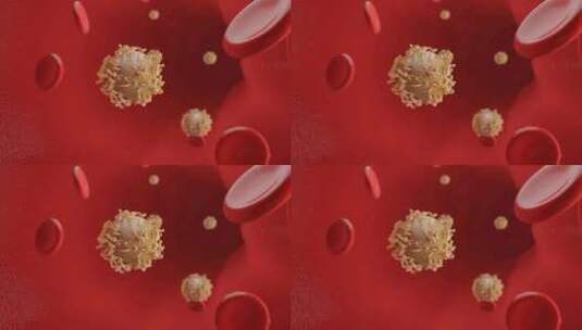 血小板 白细胞癌细胞 淋巴细胞 巨噬细胞高清在线视频素材下载