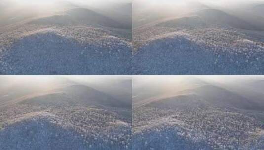 大兴安岭冬季黎明山林雾凇冷空气高清在线视频素材下载