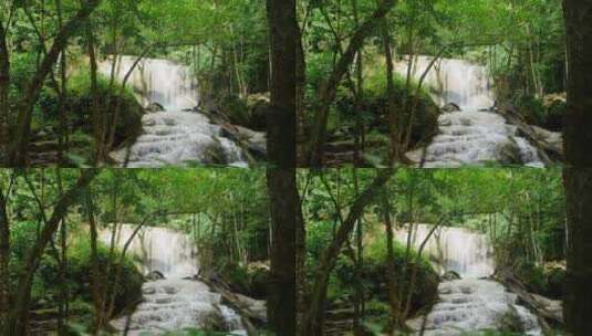 森林中的溪流瀑布高清在线视频素材下载
