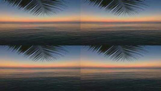海南三亚海岛夕阳下海边椰树海浪晚霞高清在线视频素材下载
