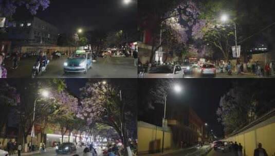 5K-昆明教场中路夜景，蓝花楹盛开的街道高清在线视频素材下载