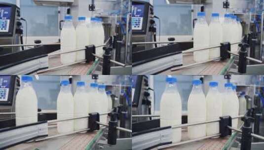 工厂牛奶生产工厂牛奶生产线高清在线视频素材下载