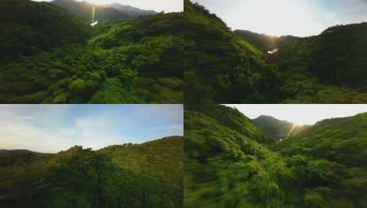 航拍绿色森林绿野仙踪青山绿水穿越机下山高清在线视频素材下载