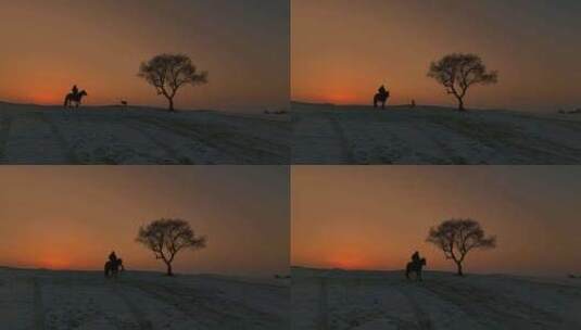 乌兰布统夕阳下孤独的树木下骑马高清在线视频素材下载