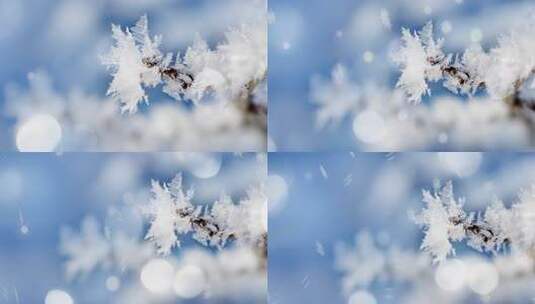 唯美雪景背景视频素材高清在线视频素材下载