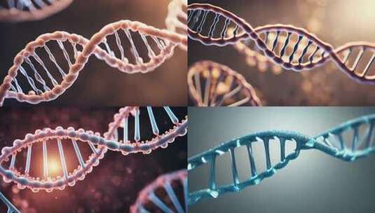 dna 双链 基因高清在线视频素材下载