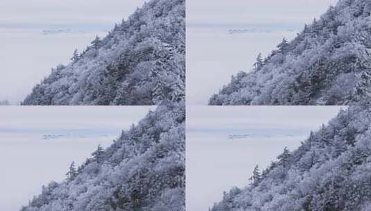 伏牛山冬季雪景云海雾凇高清在线视频素材下载