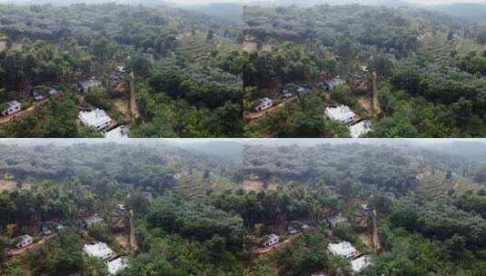 喀拉拉邦的菠萝农民聚居地，印度村庄，山顶高清在线视频素材下载