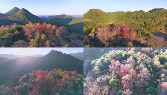 山间秋天色彩高清在线视频素材下载