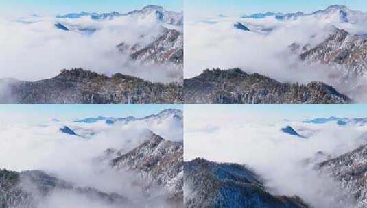 四川西岭雪山美丽风景冬天白雪皑皑云雾缭绕高清在线视频素材下载