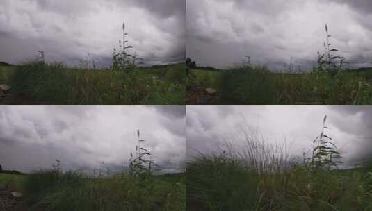 阴天的草原高清在线视频素材下载