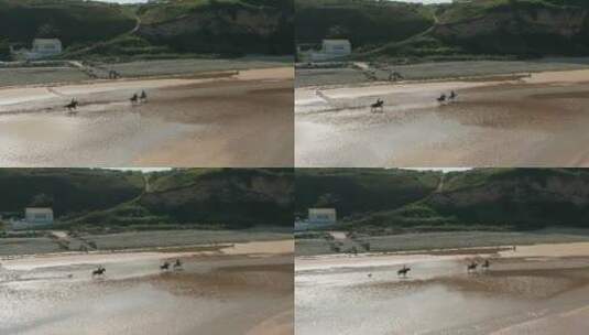 航拍人们在海边骑马高清在线视频素材下载