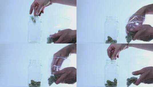 手把大麻从塑料袋转移到玻璃罐里高清在线视频素材下载