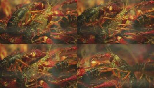海鲜市场买小龙虾挑选小龙虾高清在线视频素材下载