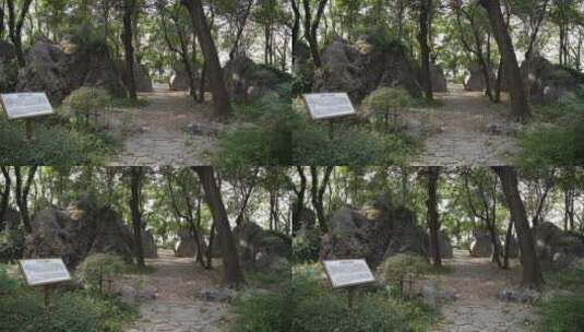 杭州凤凰山景区排衙石诗刻高清在线视频素材下载