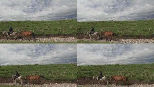 新疆牧民牧牛视频素材高清在线视频素材下载