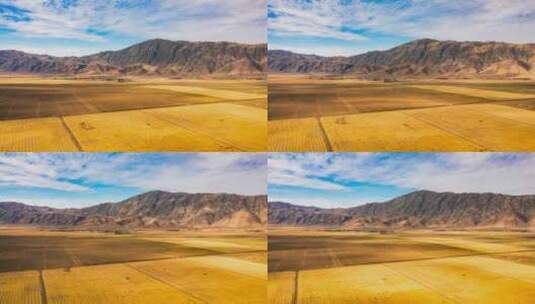 新疆阿勒泰富蕴县可可托海农场风光航拍延时高清在线视频素材下载