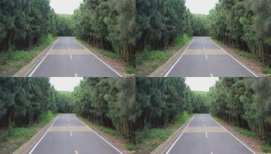 汽车行驶在森林公路旅行自驾游旅途高清在线视频素材下载