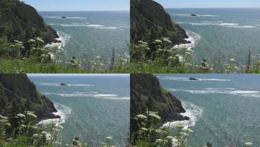 悬崖和杂草的放大镜头高清在线视频素材下载