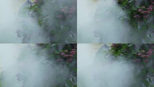 园林造雾景观高清在线视频素材下载