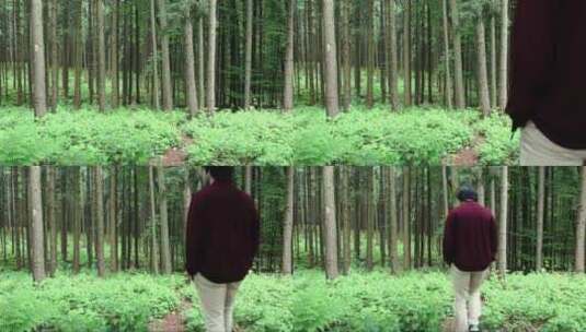 孤独的人走在森林里高清在线视频素材下载