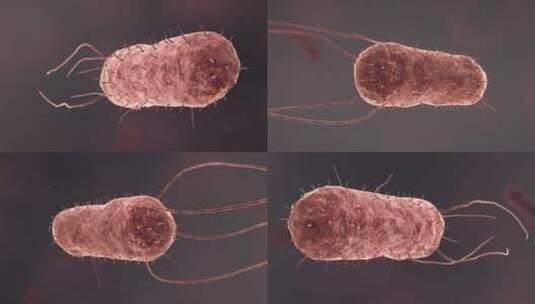 医疗病菌病毒细菌分子病原体生物三维动画高清在线视频素材下载