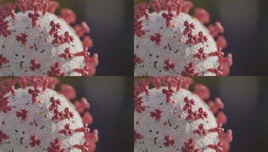冠状病毒微观3D动态效果高清在线视频素材下载