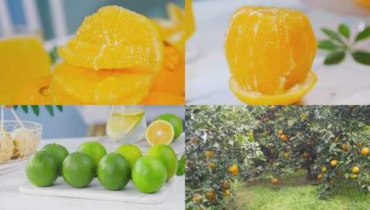 橙子种植高清在线视频素材下载