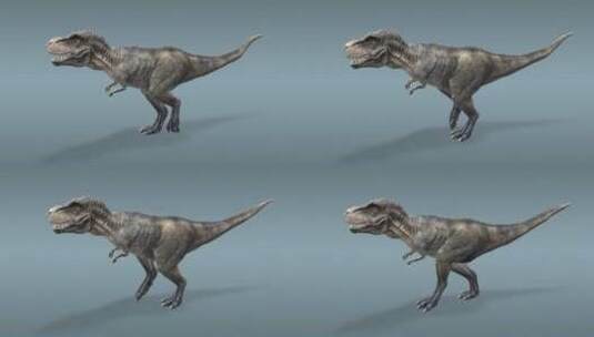 霸王龙 食肉恐龙 恐龙 三维 动画 古代高清在线视频素材下载