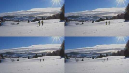 户外运动爱好者 在积雪覆盖的森林行走 特写高清在线视频素材下载