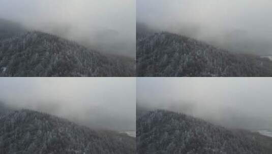 雪山雾凇大景高清在线视频素材下载