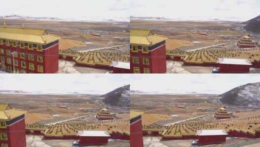 西藏雪山寺院牦牛高清在线视频素材下载