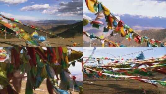 川藏高原公路边上的金帆高清在线视频素材下载