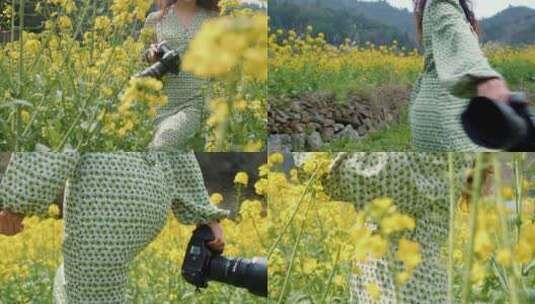 女摄影师在油菜花地拍照采风高清在线视频素材下载