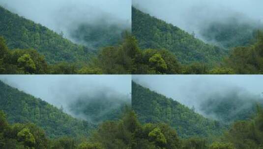 山水风景谷雨节气航拍森林自然空镜高清在线视频素材下载