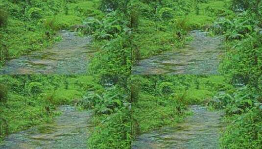 自然绿色小溪流水高清在线视频素材下载