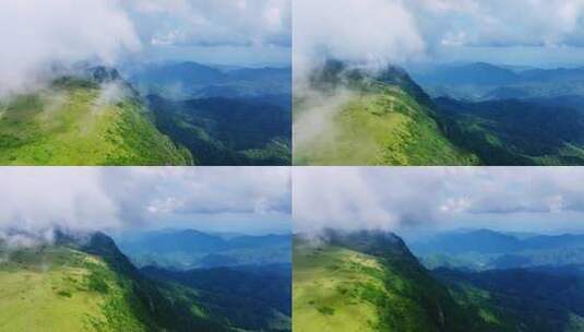 陕西汉中秦岭紫柏山高山草甸高清在线视频素材下载