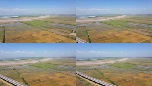 交通道路农业-黄河大桥与稻田灌溉高清在线视频素材下载