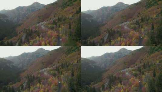 汽车沿着有着令人惊叹的秋叶的山口行驶——犹他州美国叉子峡谷高清在线视频素材下载