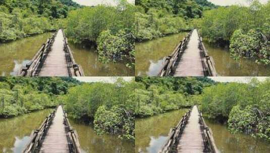 河上的木桥高清在线视频素材下载