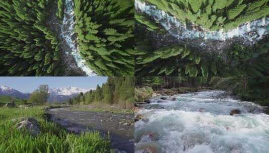 森林溪流自然风景升格高清在线视频素材下载